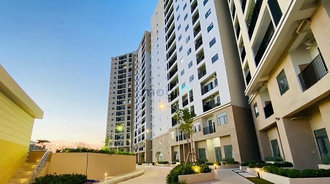 Centum Wealth