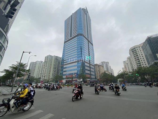 Trung tâm TMDV công cộng và nhà ở Tháp Hoa Kim Cương - Diamond Flower Tower
