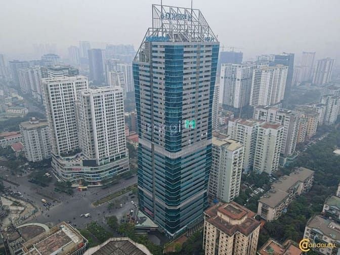 Trung tâm TMDV công cộng và nhà ở Tháp Hoa Kim Cương - Diamond Flower Tower