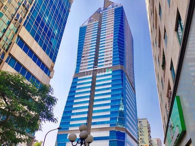 Trung tâm TMDV công cộng và nhà ở Tháp Hoa Kim Cương - Diamond Flower Tower