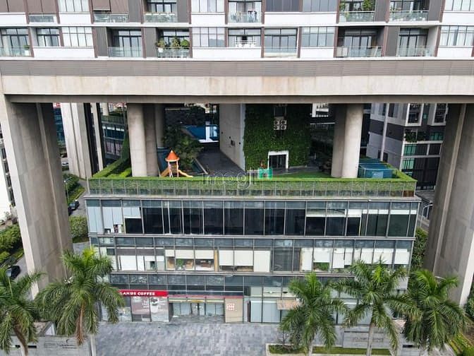 Dolphin Plaza