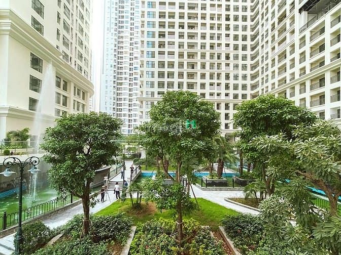 Sunshine Garden