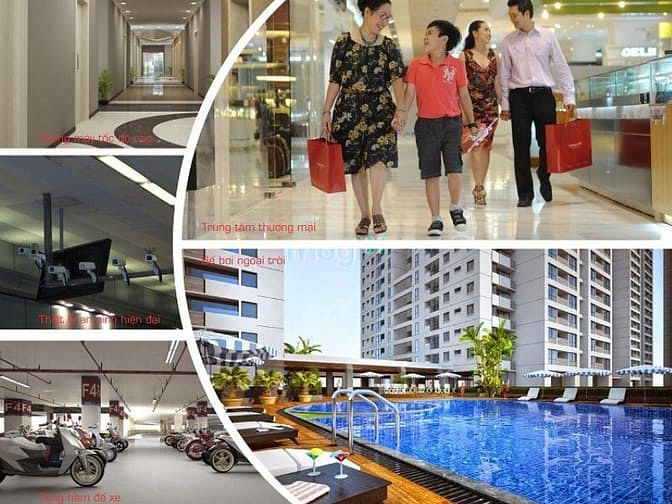 Ecohome Phúc Lợi