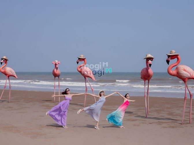 Flamingo Hải Tiến