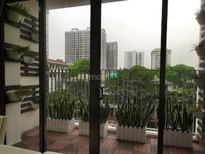 Dự án Stellar Garden