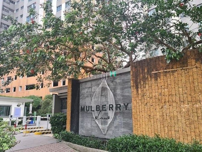 Mulberry Lane