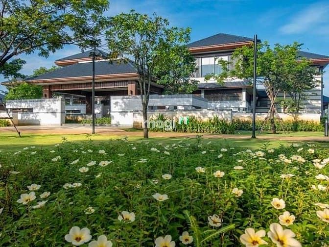 Swan Bay Đại Phước