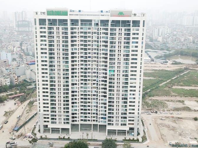 ECO Dream City