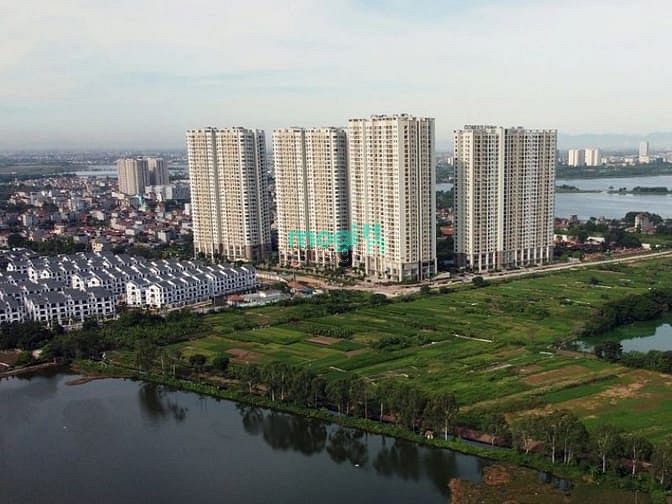 Gelexia Riverside