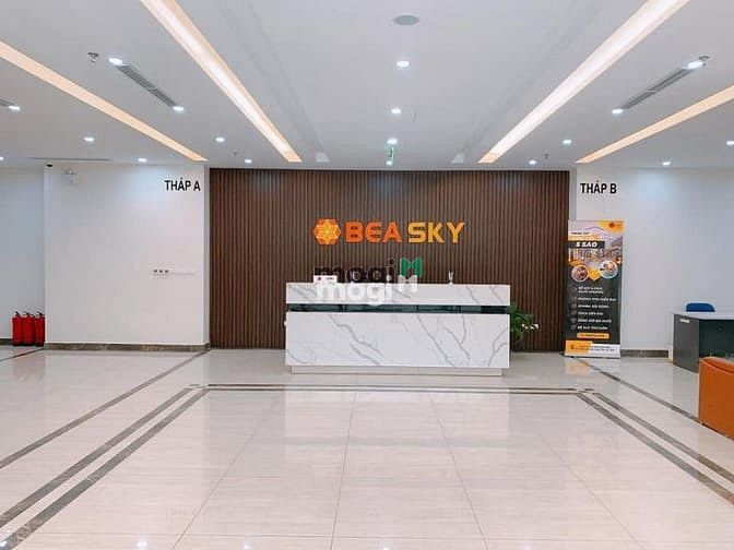 BEA SKY