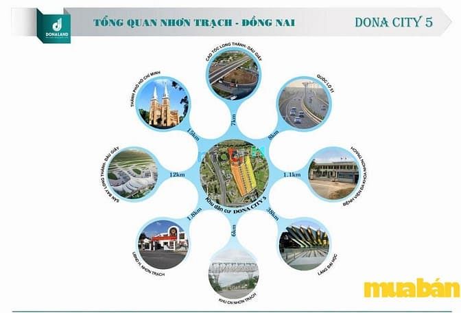 Dona City 5
