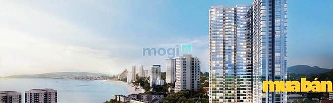 Virgo Nha Trang
