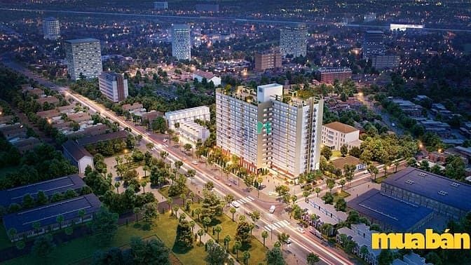Căn Hộ Citrine Apartment