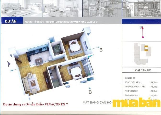 Vinaconex 7