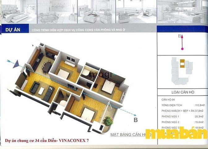 Vinaconex 7