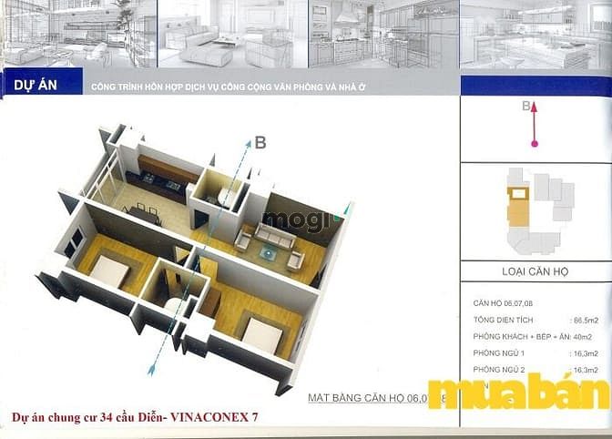 Vinaconex 7