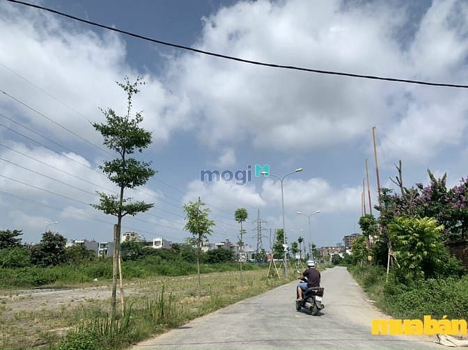 Vườn Hồng