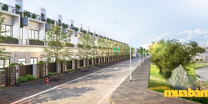 Golden Lotus City Bình Phước