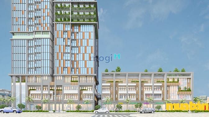 Sophia Center