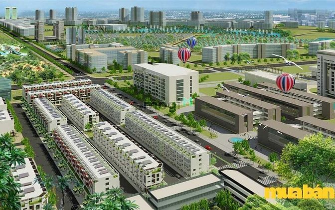 Prince Town