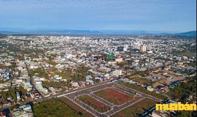 Bossco Gia Lai