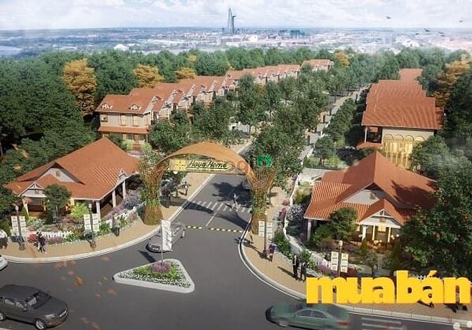 Haya Home