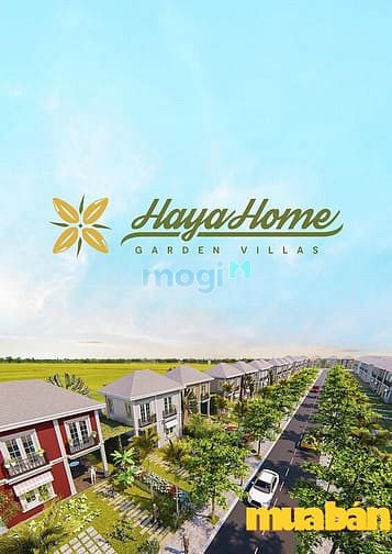 Haya Home
