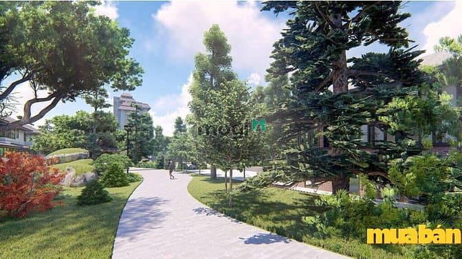 Khu đô thị Chợ Hoà Mạc