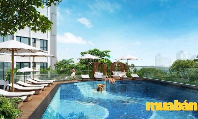 Tam Đức Plaza Apartment