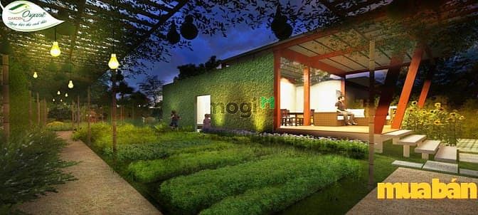 Organic Garden