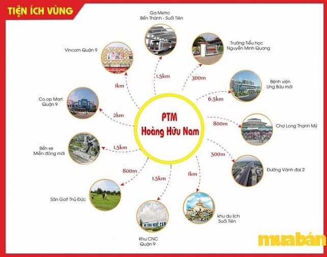 PTM Hoàng Hữu Nam