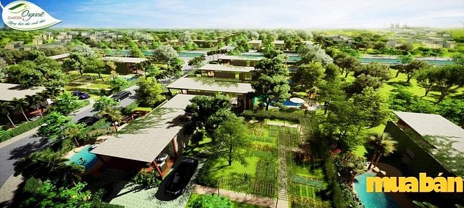 Organic Garden