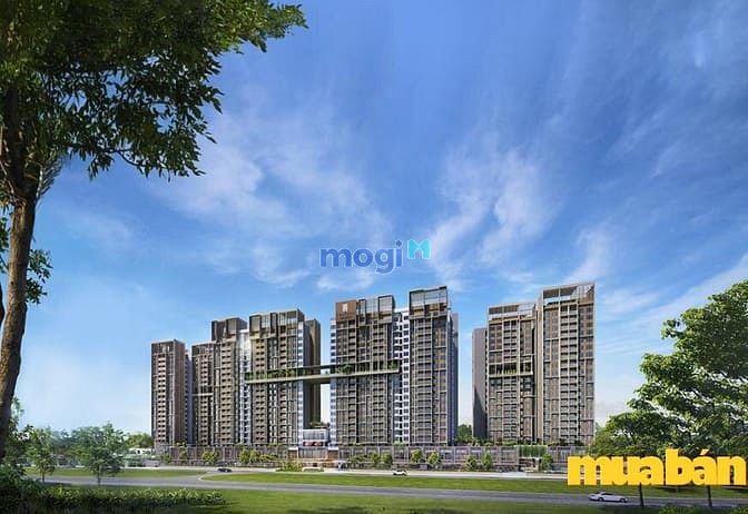 Celesta Heights