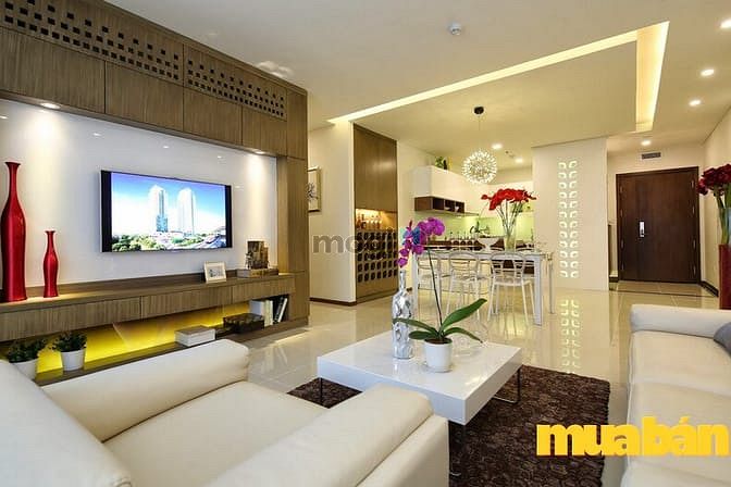 Park Hill Premium - Times City