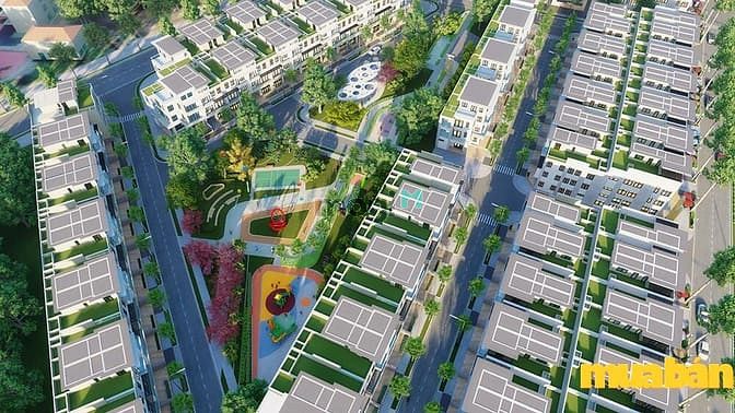 Hưng Lộc Homes