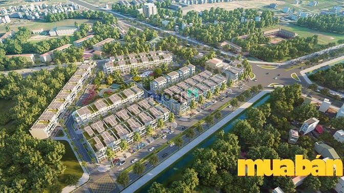 Hưng Lộc Homes