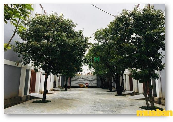 Khu đô thị Trường Sơn Homes