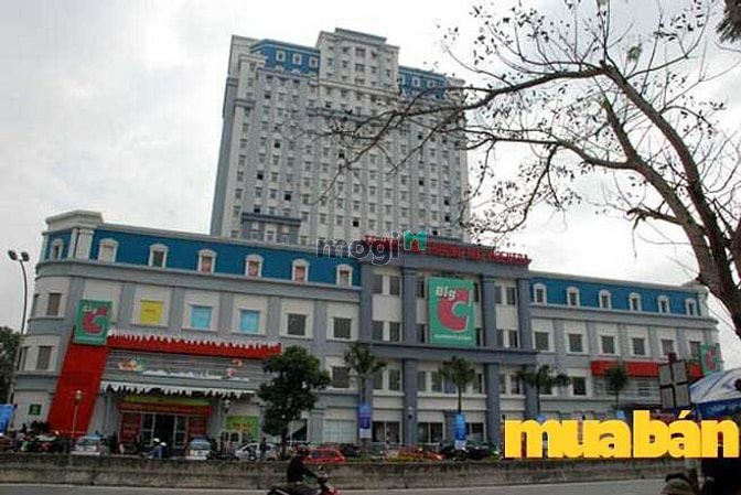Tổ Hợp Vicentra