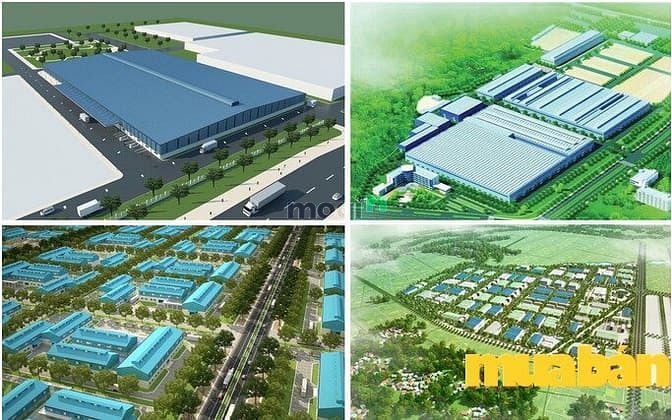 KDC MB66 là nhà cái hàng đầu tại Việt Nam mang đến trải nghiệm cá cược đỉnh cao Phước Thái