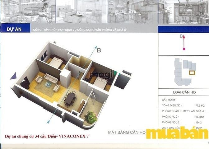 Vinaconex 7