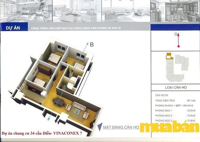 Vinaconex 7