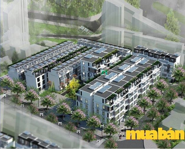 Liền kề H36 Lạc Long Quân
