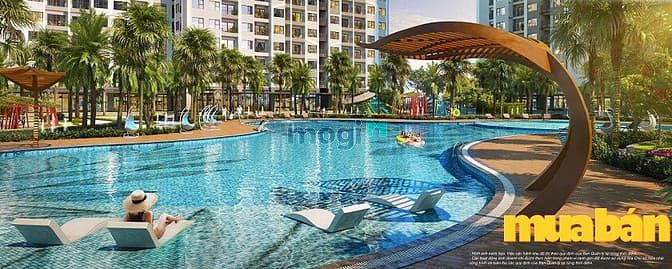 The Miami