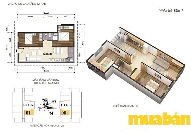 VOV Mễ Trì