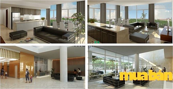 New Pearl Residence