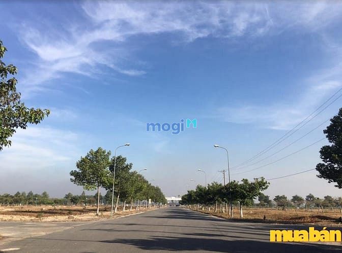 Long Tân City