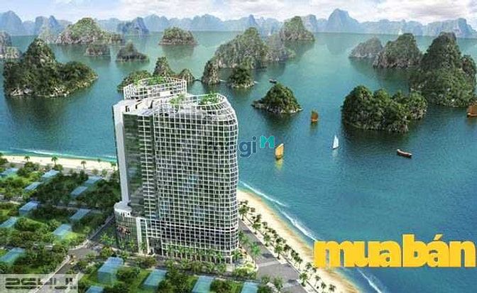 The Bay View Towers
