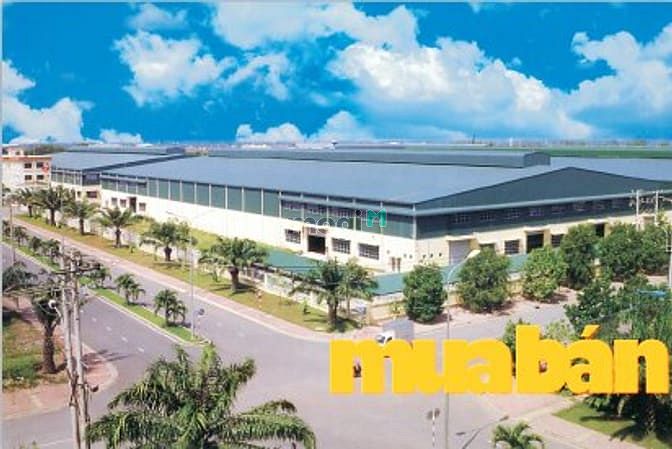 Khu Công Nghiệp Tân Tạo