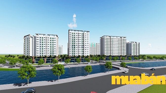 HQC Tây Ninh