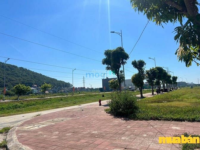Khu dân cư 8315 Đông Tân